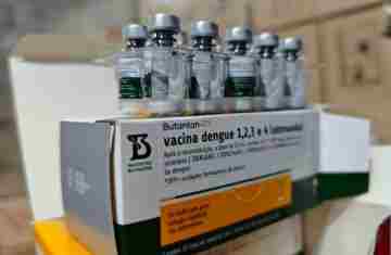 Paraná inicia entrega de vacinas contra dengue e amplia proteção de profissionais de saúde